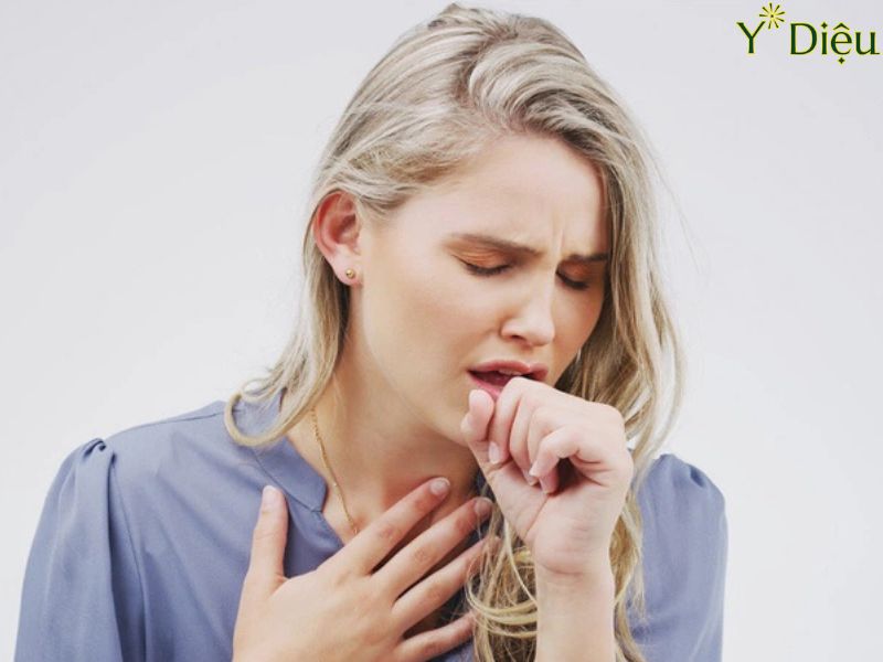 HO CÓ ĐỜM, NGUYÊN NHÂN VÀ CÁCH ĐIỀU TRỊ HIỆU QUẢ NHẤT